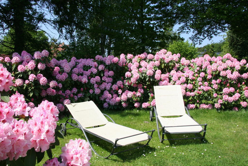 Pension Villa Edelweiss Sellin  Luaran gambar